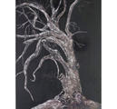 WHOMPING WILLOW
ARTIST’S INTERPRETATION OF “THE WHOMPING WILLOW OF THE HOGWARTS SCHOOL OF WITCHCRAFT AND
WIZARDRY” GROUNDS. PRESSING A PARTICULAR KNOT AT THE BASE OF THE TREE WOULD IMMOBILIZE IT. OIL ON 500LB WATERCOLOR PAPER. FRAMED 36 X 46”.

Location:
ARTIST WORK STUDIO
5302 LAKESIDE AVE.
VIRGINIA BEACH, VA 23451
(757) 491-3350